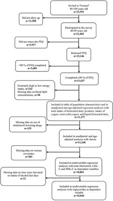 Associations Between Intake of Fermented Dairy Products and Blood Lipid Concentrations Are Affected by Fat Content and Dairy Matrix – The Tromsø Study: Tromsø7